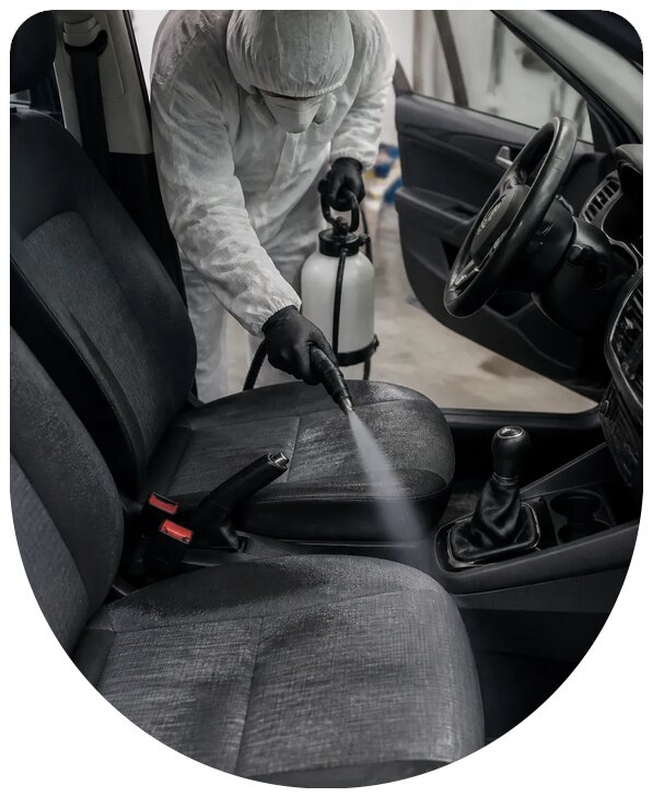 Профессиональная дезинсекция автомобиля от насекомых в Удомле